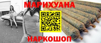 Альфа ПВП Гатчина