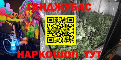 Альфа ПВП Гатчина