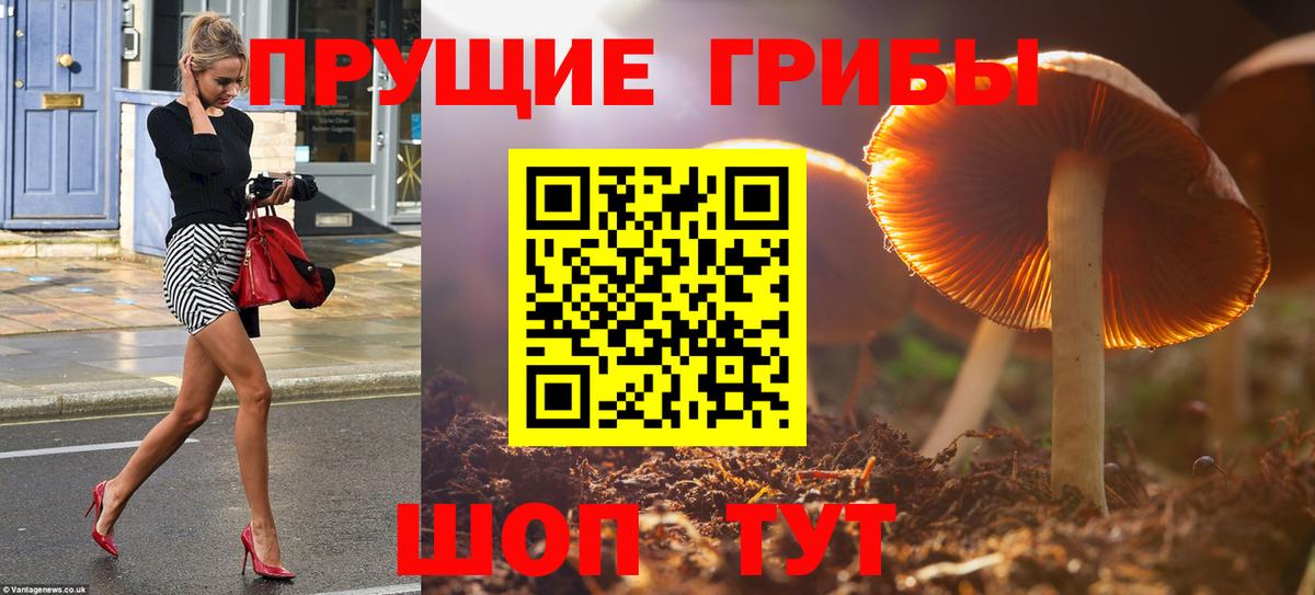 Галлюциногенные грибы GOLDEN TEACHER  Вход с VPN  Нижний Тагил 